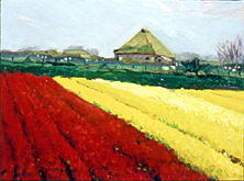 Texel Bulb Fields w/ Farmhouse