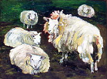 Texel Sheep
